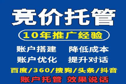 百度竞价代理的运营策略与成功案例分析